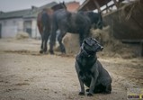 Prosinec 2018 na farmě 