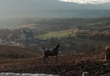 Prosinec 2018 v adoptivních domovech