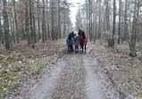 Prosinec 2018 v adoptivních domovech