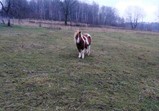 Prosinec 2018 v adoptivních domovech