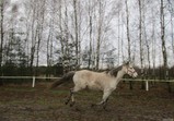 Prosinec 2018 v adoptivních domovech
