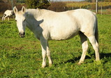 Nové středisko II