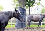 květen 2019