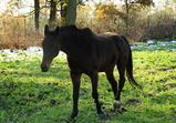 Nové středisko II