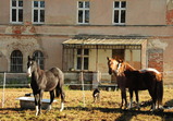 Nové středisko II