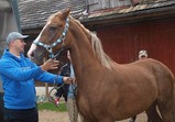 Dunaj u Karoliny