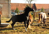Nové středisko II