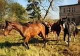 Nové středisko II