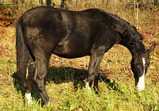 Nové středisko II