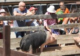 Den Otevřených Dveří - červen 2019