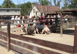 Den Otevřených Dveří - červen 2019