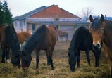 Fotografie Marcin Bukowski