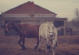 Fotografie Marcin Bukowski