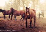 Fotografie Marcin Bukowski