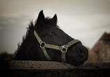 Fotografie Marcin Bukowski