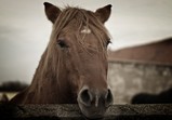 Fotografie Marcin Bukowski