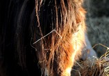 Prosinec 2012 - I