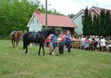 Festival 2013