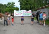 Festival 2013