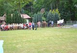 Festival 2013