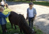 Koňští důchodci a mládež z Wojnowa 
