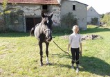Koňští důchodci a mládež z Wojnowa 