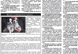 Média o nás 2013