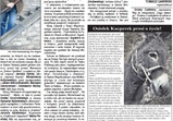 Média o nás 2013