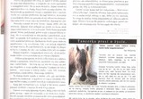 Média o nás 2012