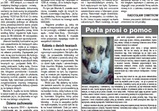 Média o nás 2013
