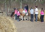 Dobrovolníci ve Wojnowě 2012