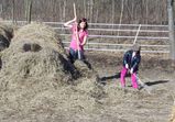 Dobrovolníci ve Wojnowě 2012