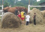 Rehabilitační dílna ve Wojnowě