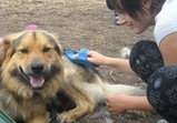 Rehabilitační dílna ve Wojnowě