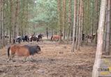 Kuclandia leden 2014