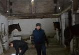 Mladí veterináři ve Wojnowě