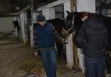 Mladí veterináři ve Wojnowě