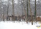 Středisko Wojnowo leden 2014