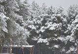 Rozloučení - Krzysiu... část 2