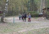 Důchodci 2012