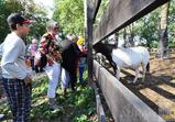 DEN OTEVŘENÝCH DVEŘÍ 23-24 SRPEN 2014 část 1, fotky AUKA