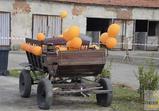 DEN OTEVŘENÝCH DVEŘÍ 23-24 SRPEN 2014 část 1