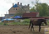 Středisko u Legnicy - září 2014 - část 1